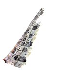 Crocodile Tail