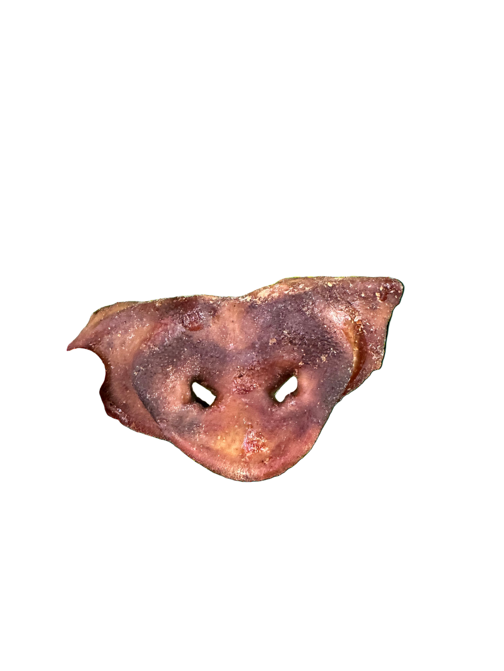 Pig Snout