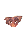 Pig Snout