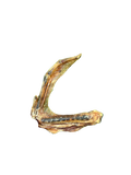 Duck Wing
