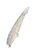 Gummy Shark Tail