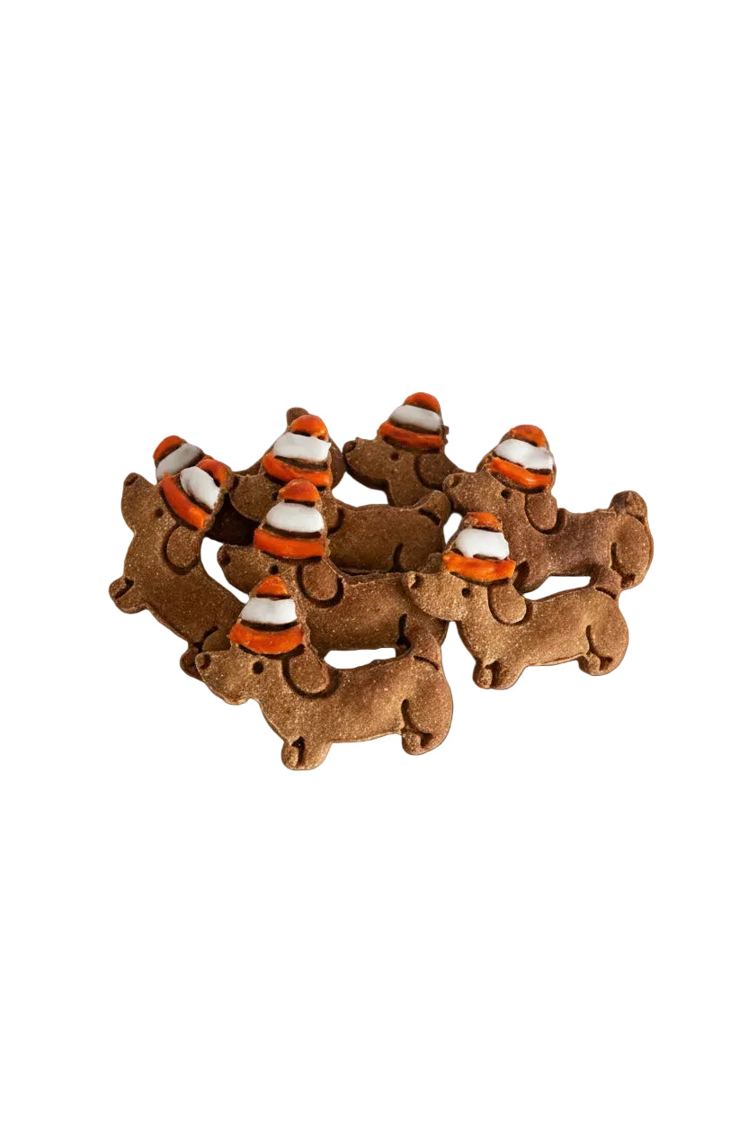 Cozy Dachshunds
