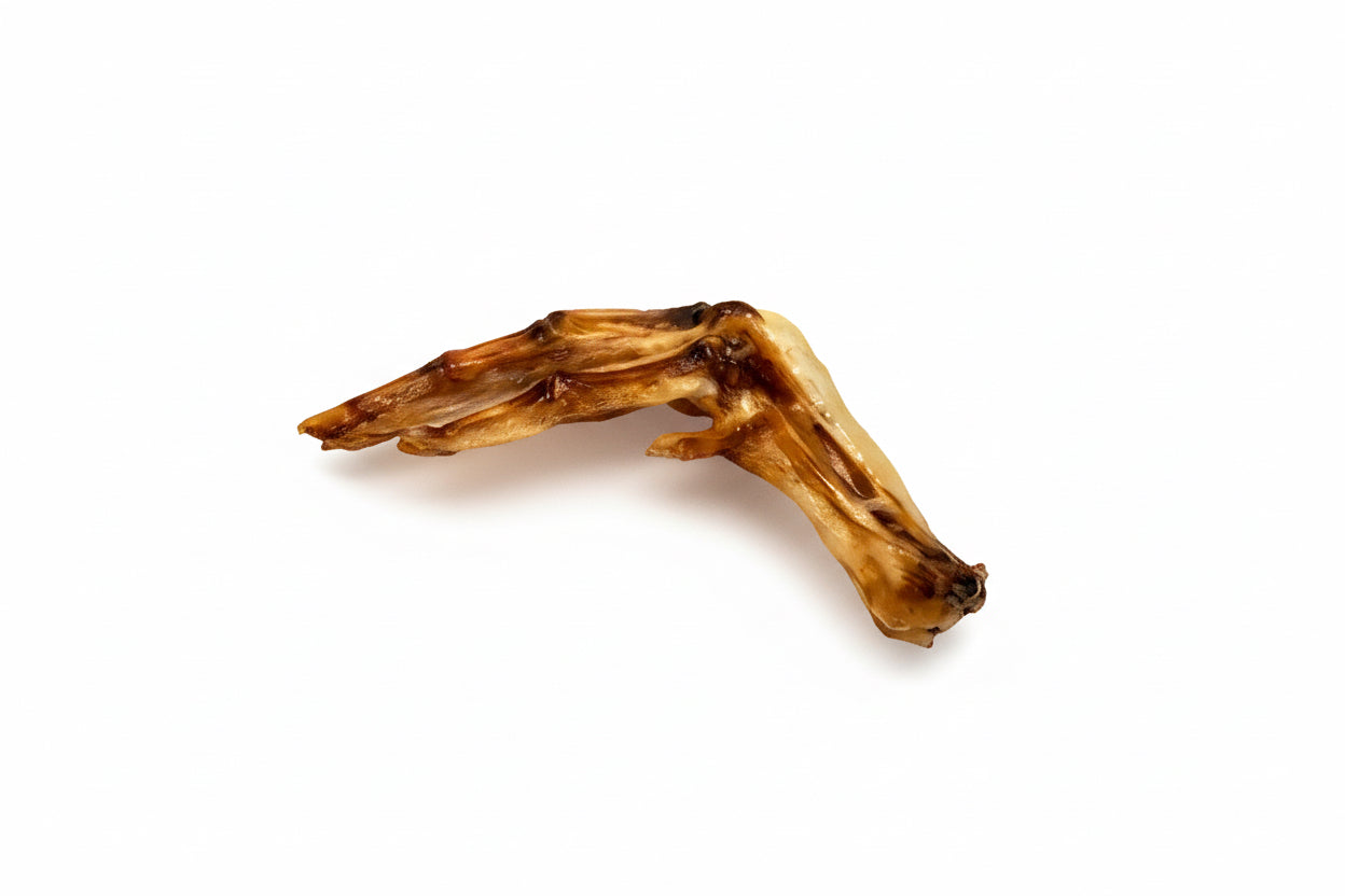 Duck Feet