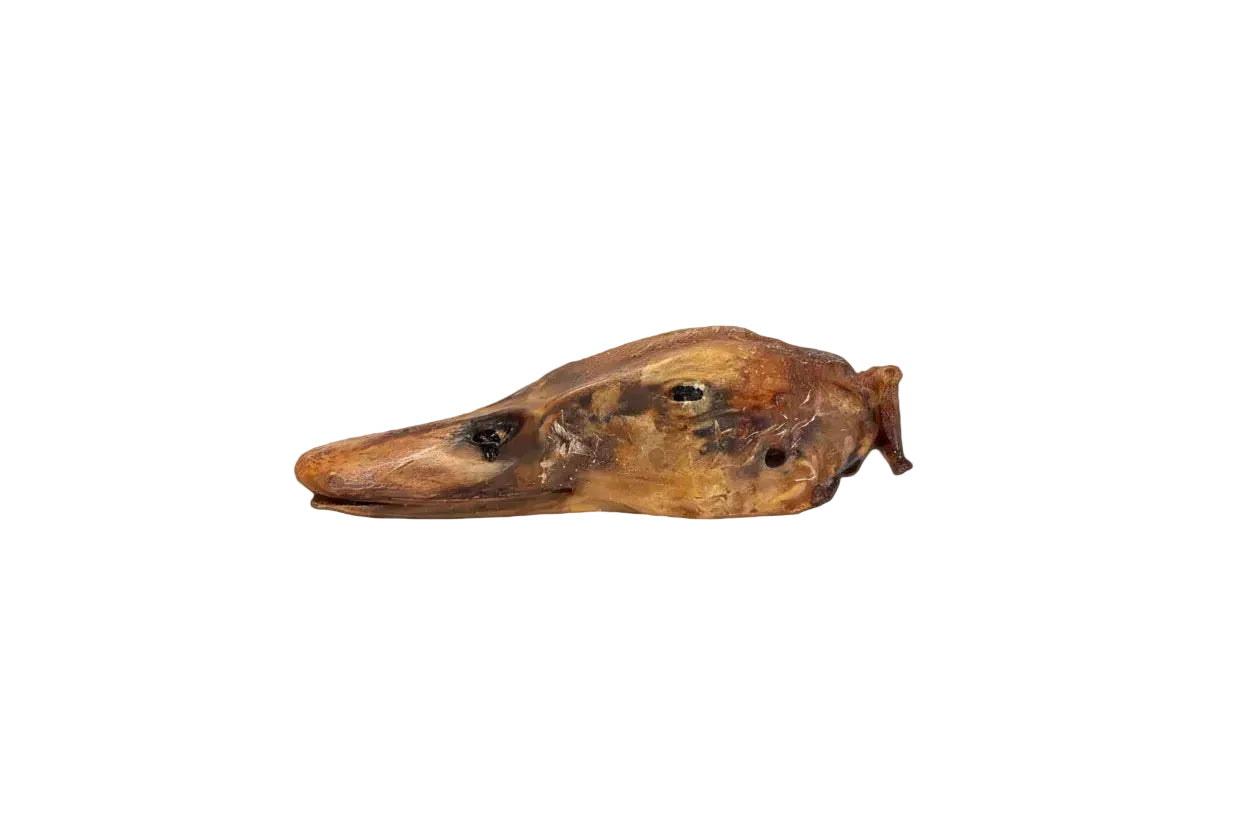 Duck Head